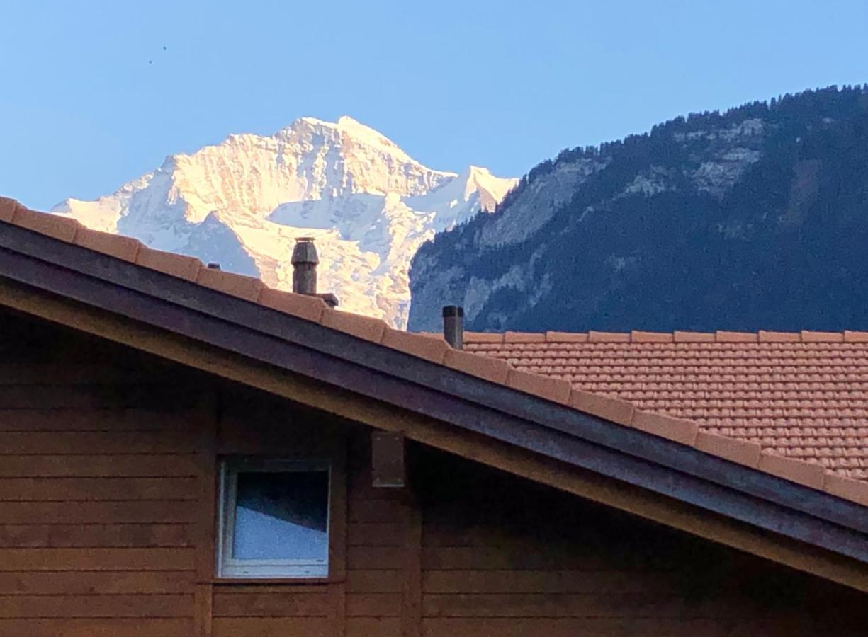 S&P Mountain View Apartment 1 Wilderswil Exterior foto