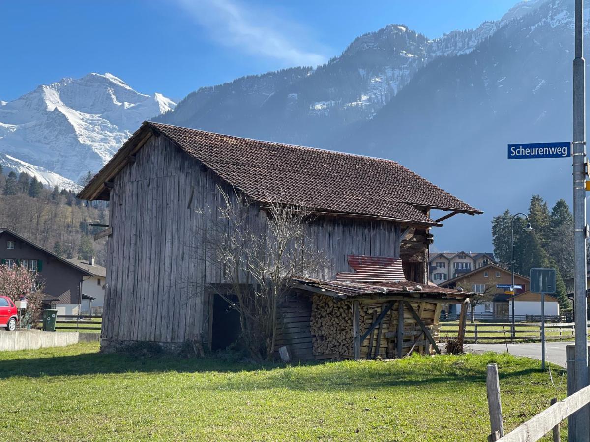 S&P Mountain View Apartment 1 Wilderswil Exterior foto